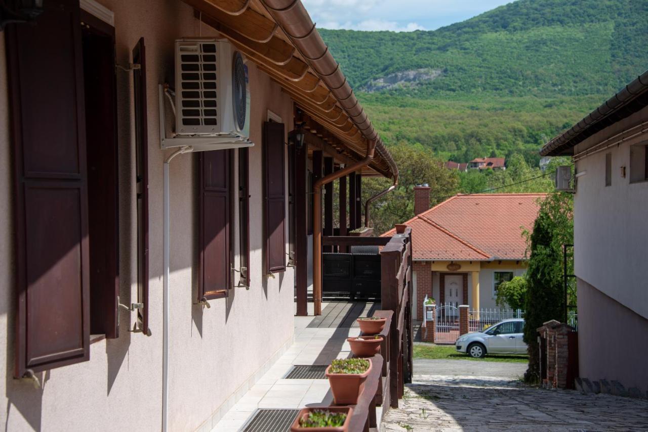 Pitypang Vendeghaz Hotel Felsotarkany Exterior photo